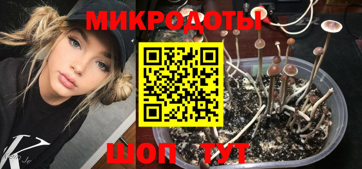 Галлюциногенные грибы Psilocybine cubensis  Вход с VPN  Дальнегорск 